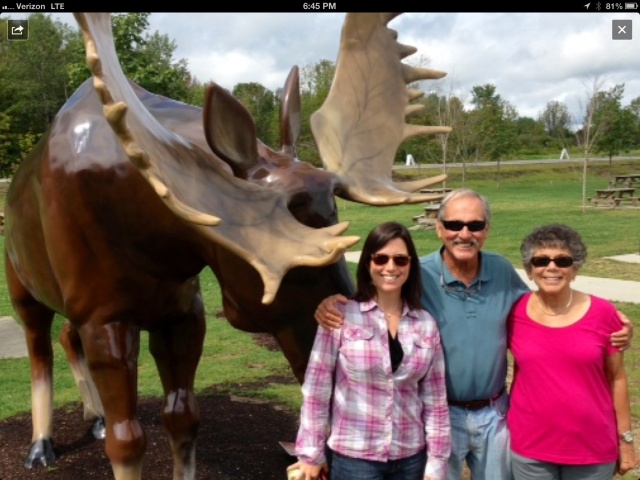 Visiting a Moose During Drive Back to Maine