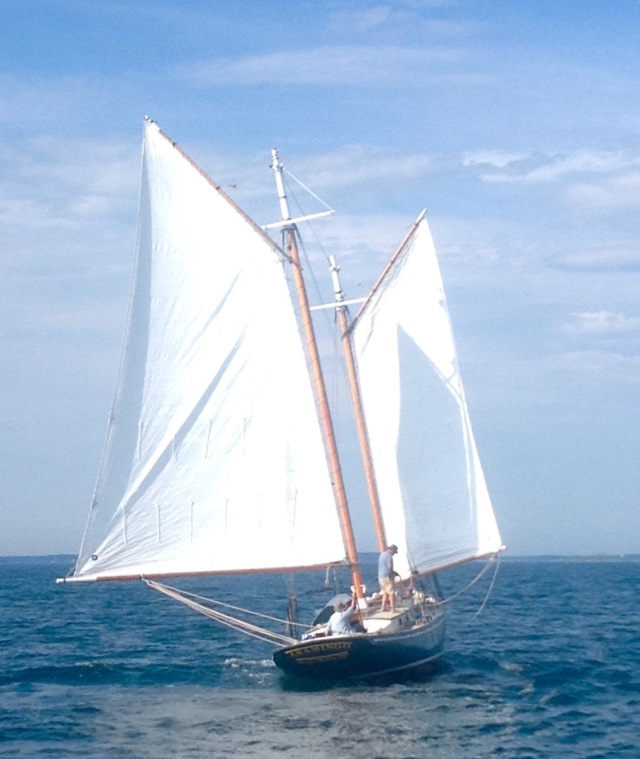 aramingo-under-sail